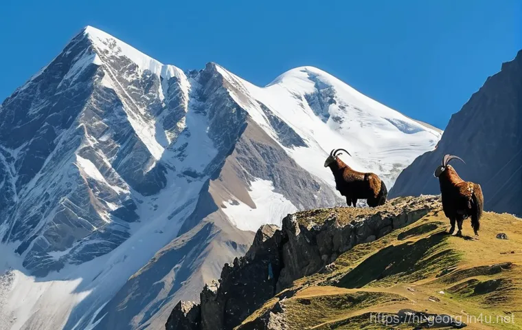 카즈베기 산의 독특한 생태계 - **A Vibrant Tapestry of Kazbegi's Alpine Flora**
    A breathtaking panoramic view of the Kazbegi mo...